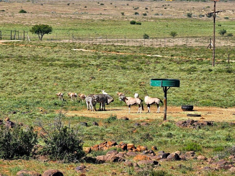 4 Bedroom Property for Sale in Bloemfontein Rural Free State